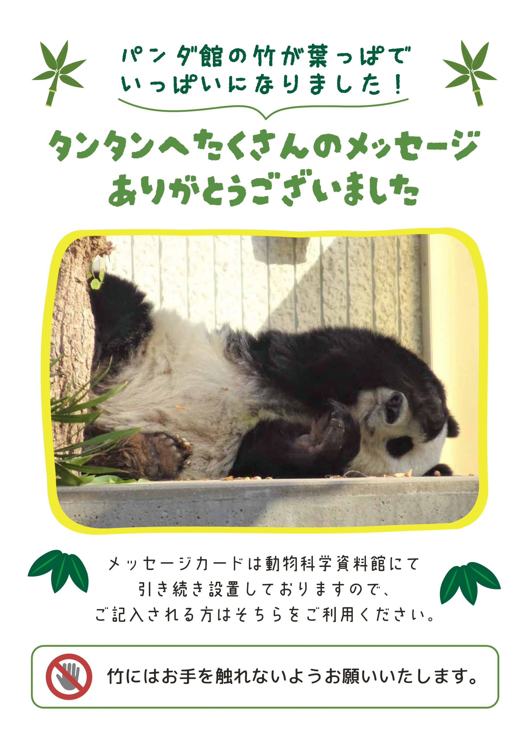 パンダ館メッセージ募集終了のお知らせ - ありがとうタンタン